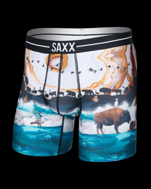 Sous-vêtement SAXX (MULTICOLORE - 252140) - Modèle: SXBB85-GMM